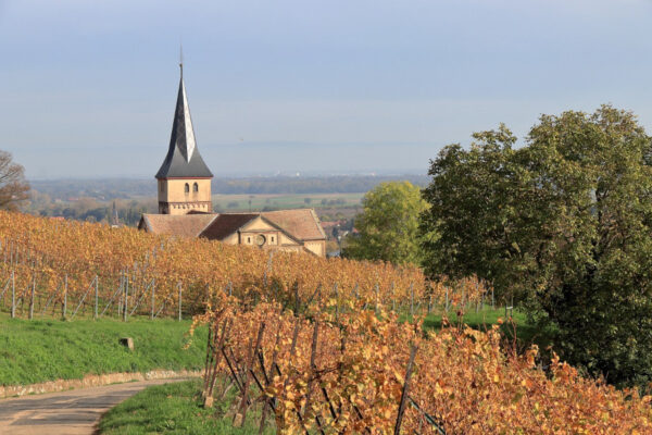 strada dei vini