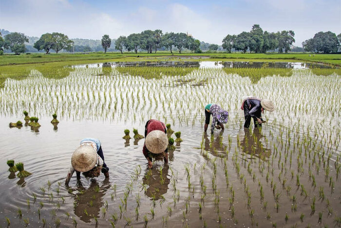 VIETNAM