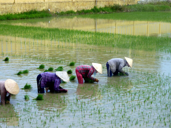 VIETNAM