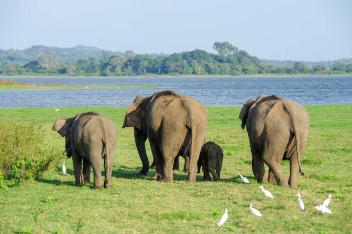 SRI LANKA