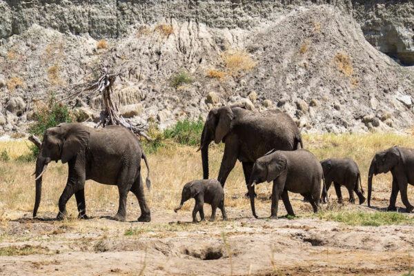 tanzania