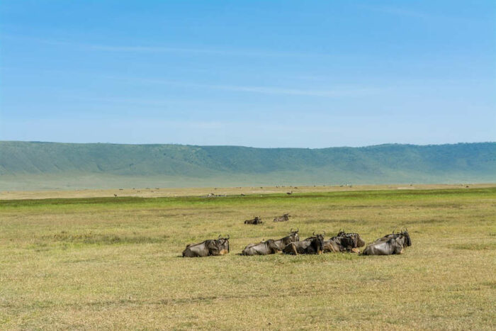 tanzania