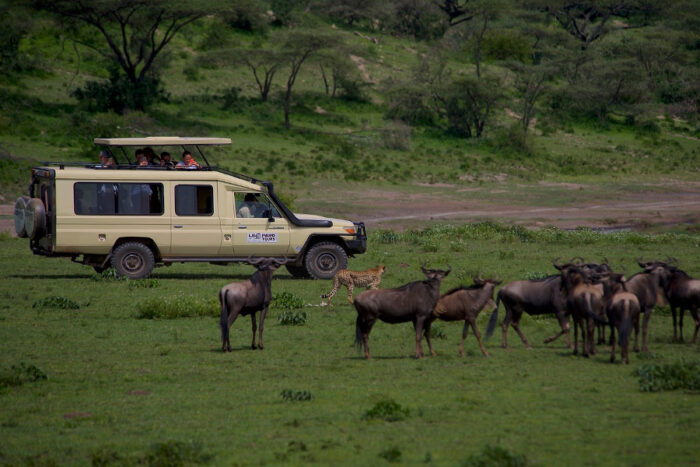 tanzania