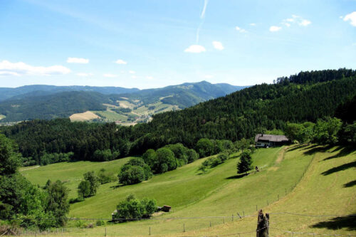 FORESTA NERA e LAGO DI COSTANZA - dal 5 al 9 maggio 2025